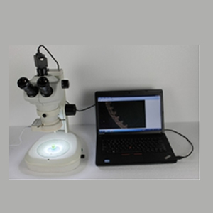 AM645S体视显微镜参数及图片